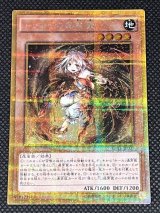 高額・希少品 - Online Card Shop TOKYO TCG Gallery